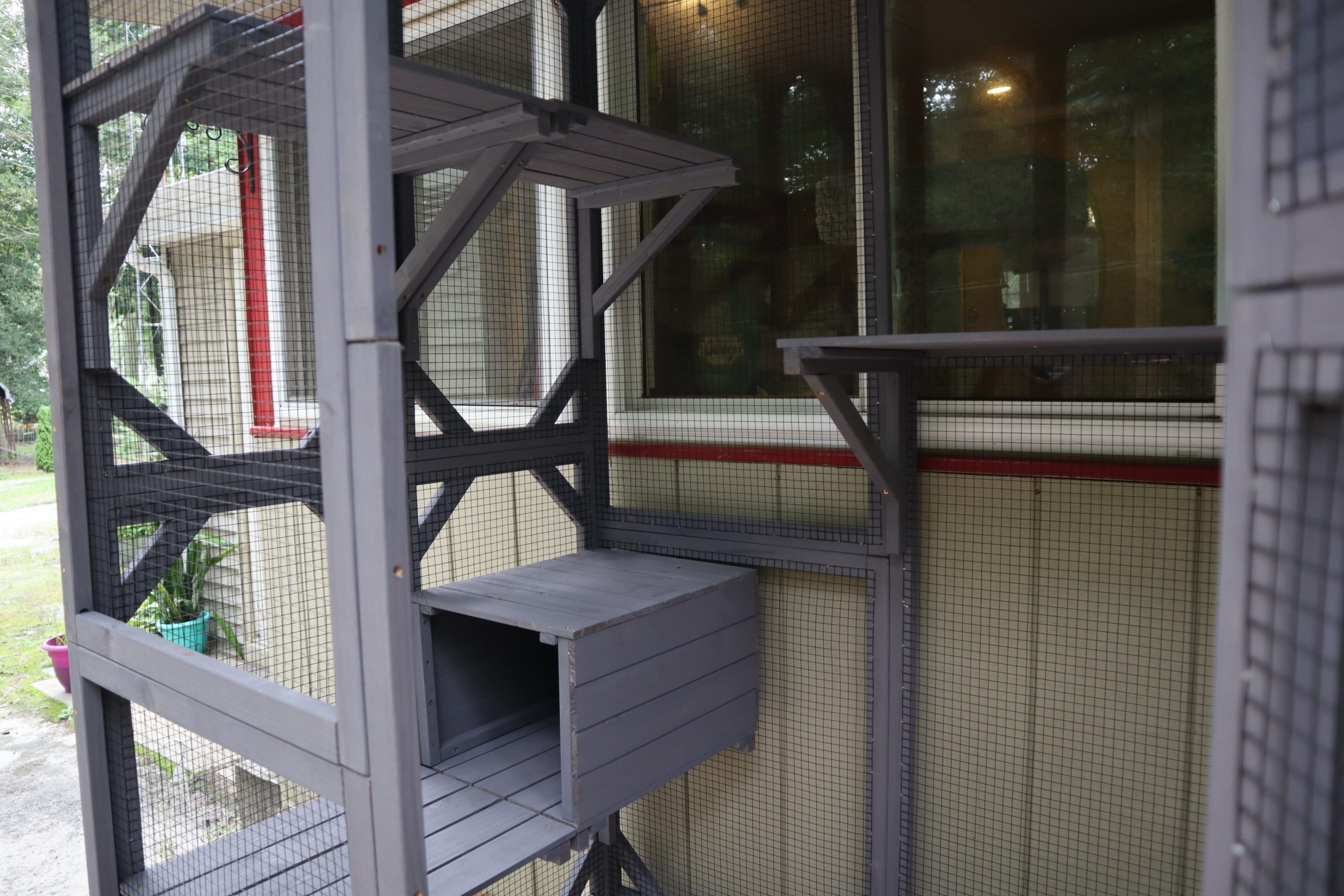 Trying a Prefab Catio | Aivituvin Cat Enclosure Review