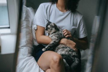 A cat sitting on a woman's lap.